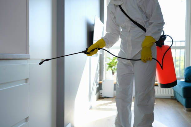 Best Crawl Space Mold Removal  in Hanover, OH