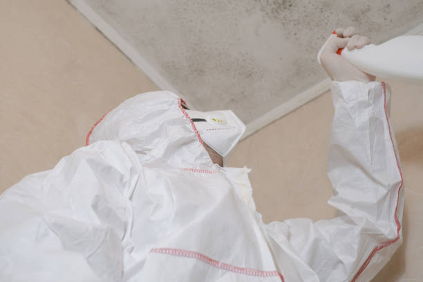 Certified Mold Removal in Hanover, OH