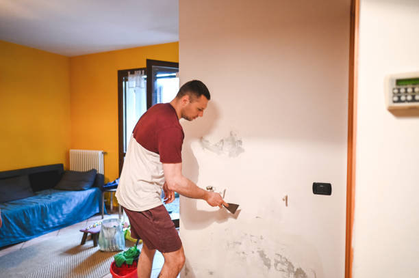 Best Mold Removal Near Me  in Hanover, OH